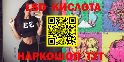ПСИЛОЦИБИНОВЫЕ ГРИБЫ Можга