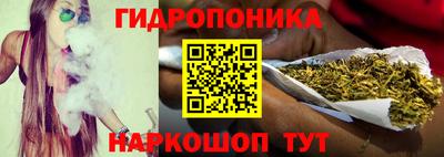 ПСИЛОЦИБИНОВЫЕ ГРИБЫ Можга