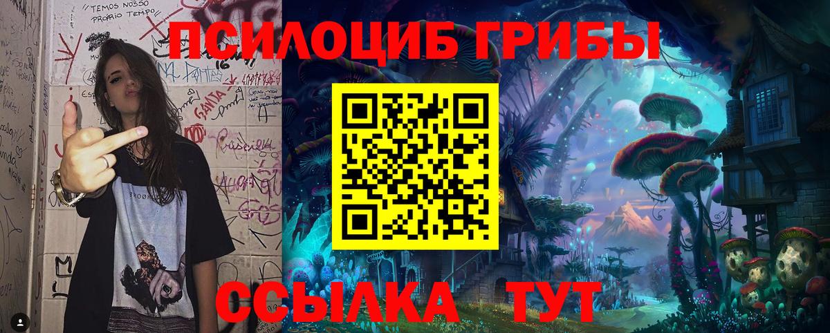 Галлюциногенные грибы мухоморы  Галлюциногенные грибы MAGIC MUSHROOMS  Чистополь  Вход с VPN 